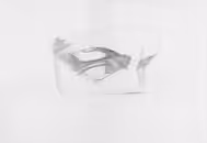 Gyps David eyes, 2004