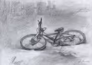 Bicycle, 2006