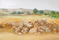 Arab fields in Givat Ahish, 2010