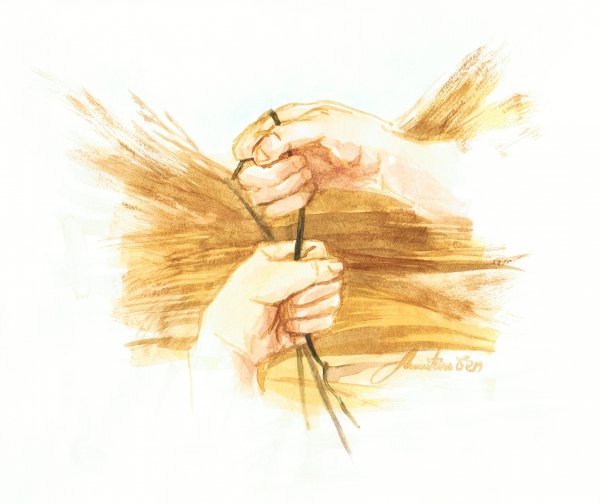 Melechet Meamer, 2010