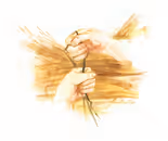 Melechet Meamer, 2010