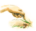 Melechet Zorea, 2010