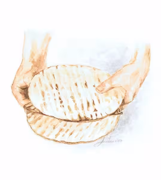Motzi Matzah, 2011
