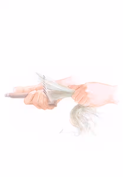 Combing (Menapetz), 2025