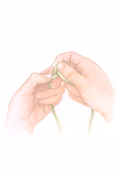 Untying (Matir), 2025